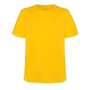 Ashford School Uniforms - Beaver Green House PE T Shirts Yellow